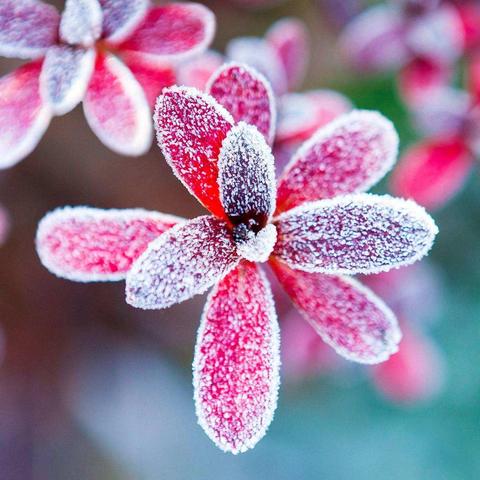 英语组赛课掠影