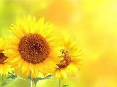 共克时艰，静待花开