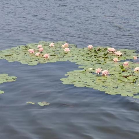 海阳的夏天