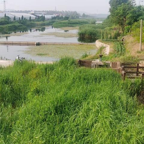 神奇的东村河流域