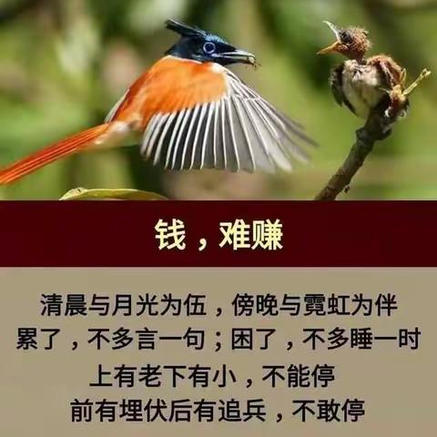 钱，难赚；情，难断；话，难辨；心，难懂；人，难做；命，难求！