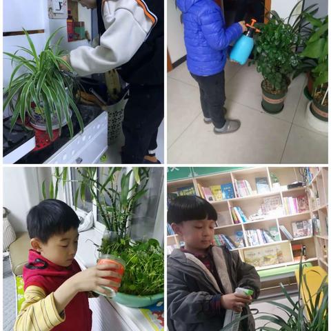 一年级劳动综合实践活动——爱绿护绿和洗小衣物