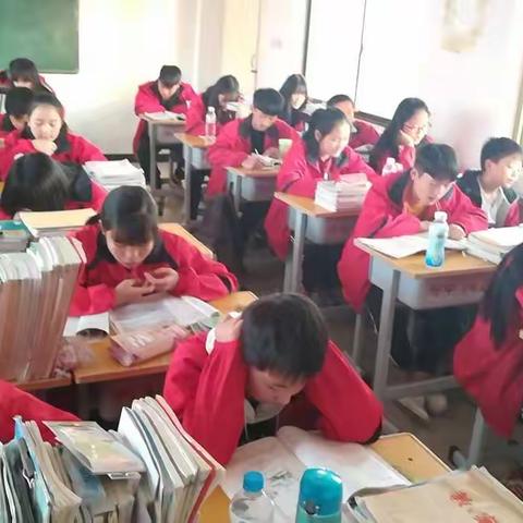 美丽岁月