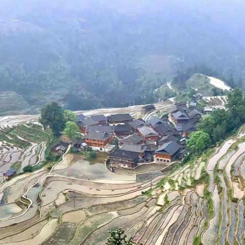 谷雨，我们和贵州有个约会（5）加榜梯田—丹寨