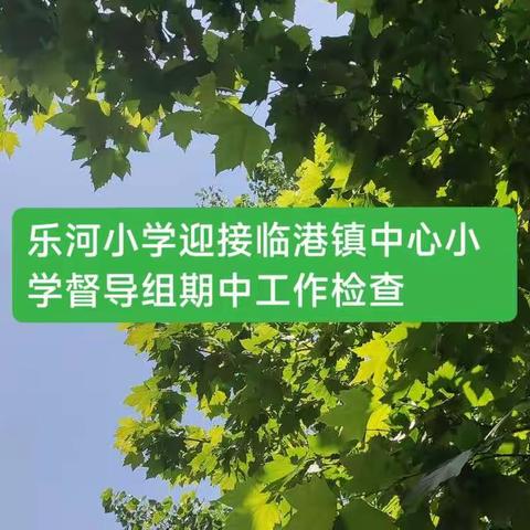 夯实常规，以检查促教——【临港镇乐河小学迎期中督导检查】