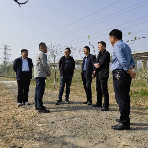 副区长孙培梁到桑梓店街道走访调研农业产业发展情况