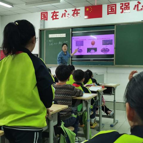 骨干教师展风采 引领示范促成长——记北海一实小学科学组骨干教师示范课活动