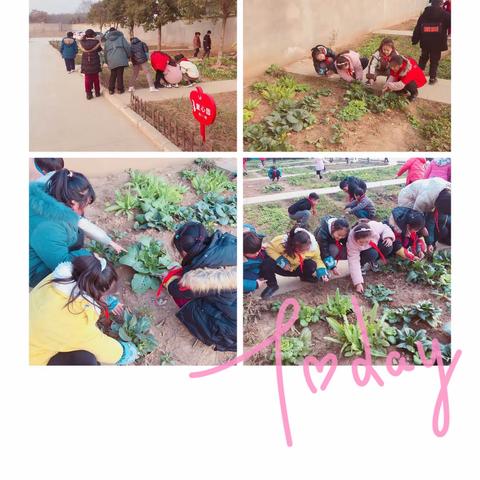 手尖上的智慧——纸杯上的植物园