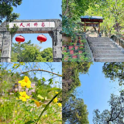 (三八妇女节）阳春三月，遇见美好——凤凰幼儿园