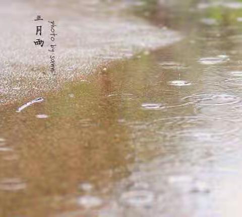 余江区小学新教师基本功竞赛（英语线）
