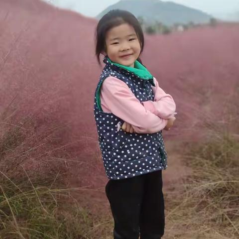 朱家林，粉黛乱子草（随拍）