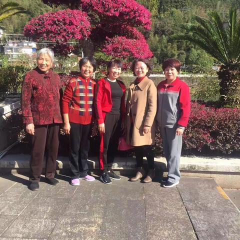 清流电信老体协3.8活动