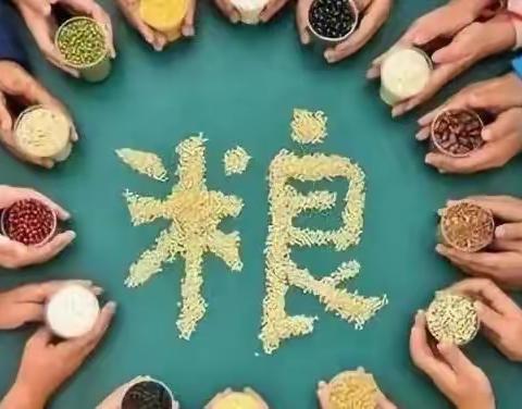 “粮”心“食”践，我们在行动——王庄中学世界粮食日和全国粮食安全宣传周活动纪实
