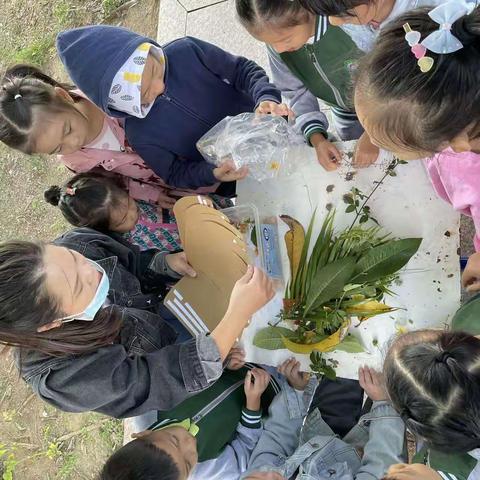 北海市三色幼儿园--鲸鱼🐳班户外课堂