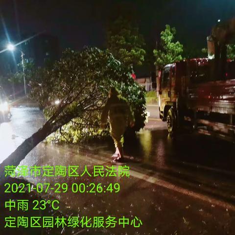 逆行风雨中，园林人全力迎战