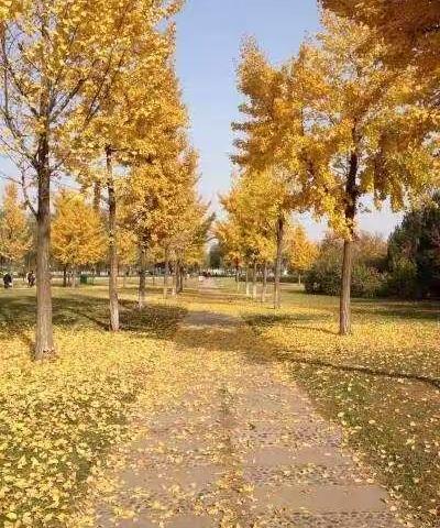 永城市中心医院🏥永城市儿童医院西城院区第十八期健康教育开课啦！