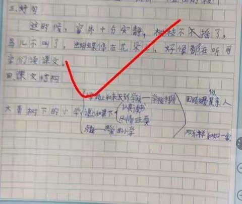 《大青树下的小学 》课堂笔记