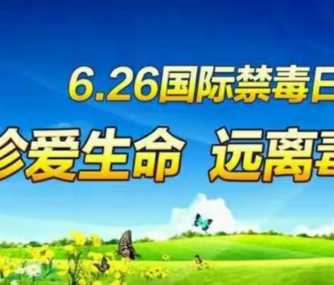 大板蒙古族小学开展”无毒人生 平安辽宁”主题教育活动