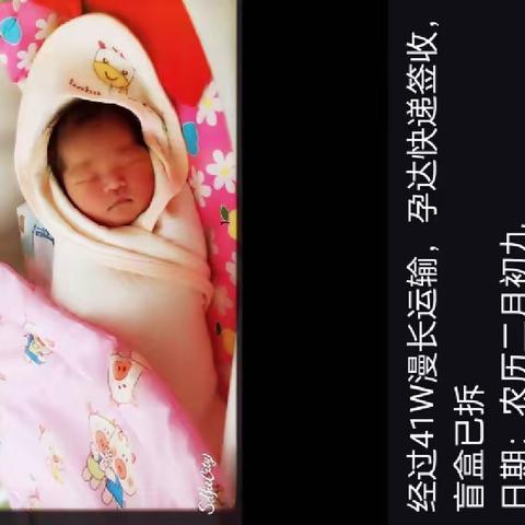 我的成长瞬间