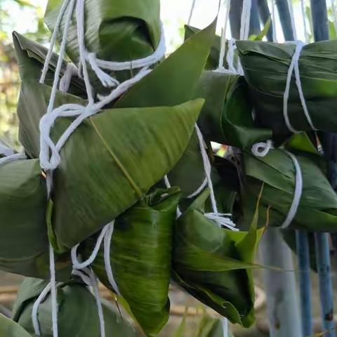 火炬2018级 1班团结队活动之包粽子