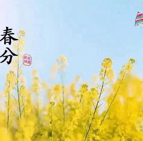 春分与你，童趣无限—春蕾班春分活动