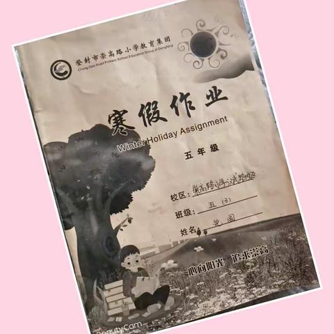 缤纷寒假  硕果累累——崇高路小学汉武路校区 五三班党圆寒假作业展示