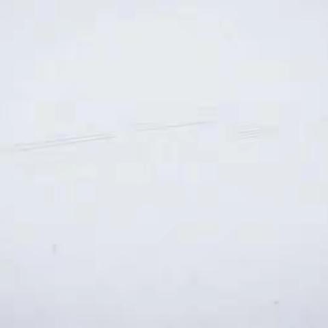 六年级道德与法治《应对自然灾害》第二课时