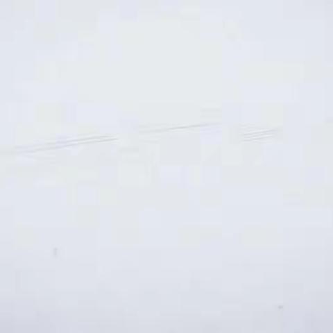 六年级道德与法治《多彩的世界文化》