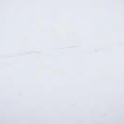 六年级道德与法治《科技让梦想成真》