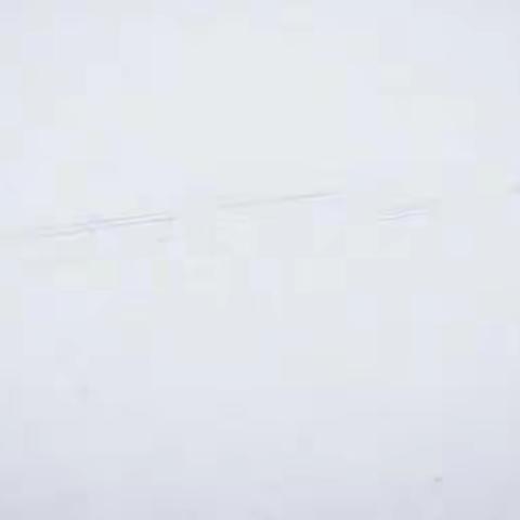 六年级道德与法治《尊重文化多样性》