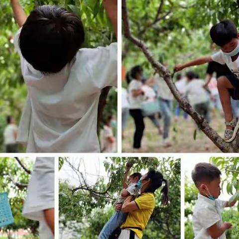 花样“六一”，快乐童年            ——                                        谢集镇张步口小学附属幼儿园