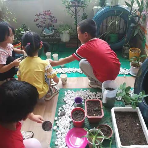 中三班学习故事:小豆豆生长记(二)