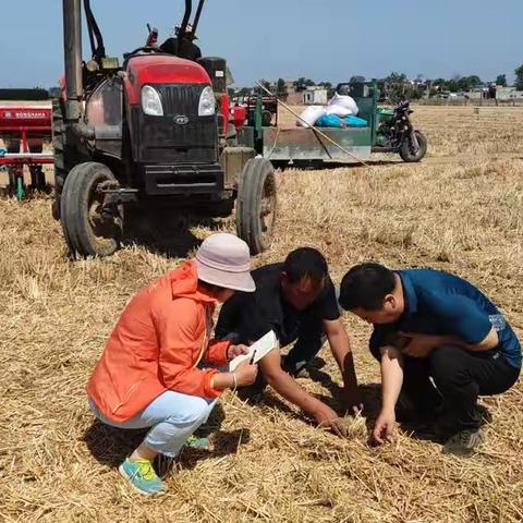 抓住有利时机，做好夏种夏管