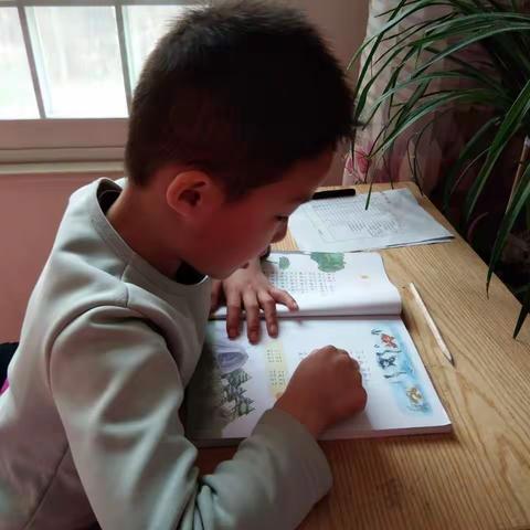 这些孩子周末也不忘读书，一年级读书活动进行时