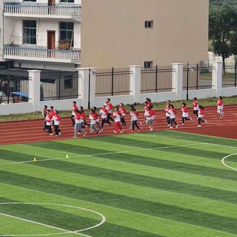 综合组教研活动——体育课堂《两人三足》