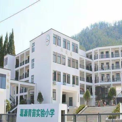 用心浇灌   静待花开——青苗实验小学第十二周值周小结