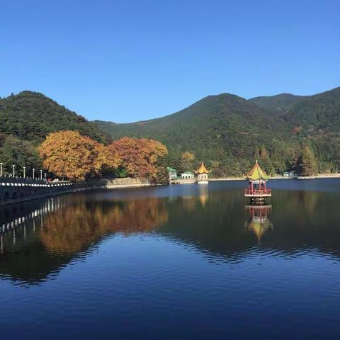 秋天的音乐🍁🍁🍁