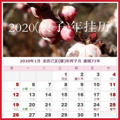 【篇62】2020(庚子)年月历