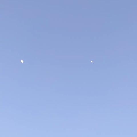 宁武县实验小学三年级十班孙嘉琪的2023寒假生活