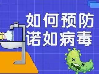 预防诺如病毒，呵护学生健康