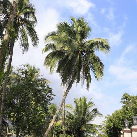 美丽乡村 一日游玩