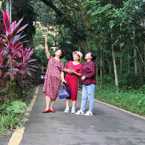 漫步北仍文明生态村