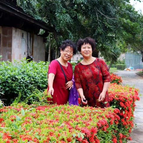 在世界行走 为博鳌停留