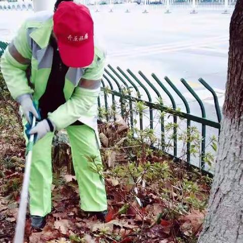 “地毯式”清理 让绿化带真正“绿起来”——萍乡玉禾田