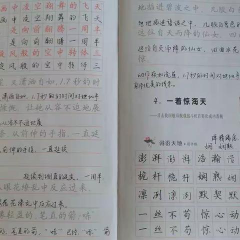 练字记录