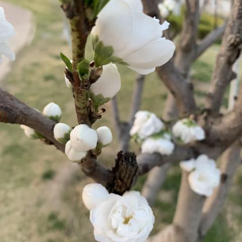 珍惜生命 预防溺水——殷巷镇王楼小学防溺水安全教育专题会