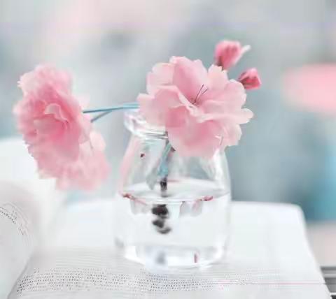 同心战“疫”，静待春暖花开时——四年级语文团队