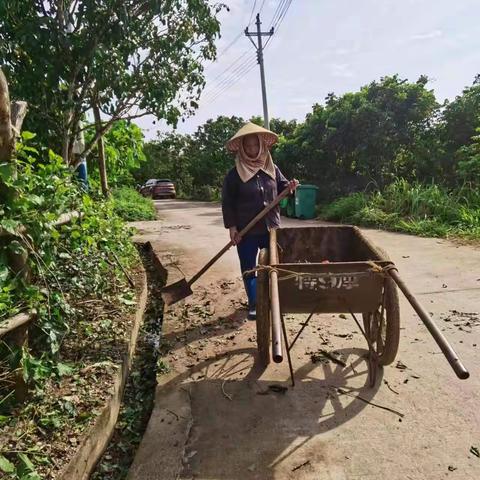 推赛村开展村庄清洁，针对“蚊虫滋生清理，有效防蚊灭蚊”。”