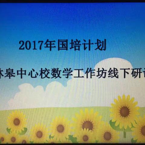 莘莘研学路，款款团队情——林皋中心校数学工作坊第二阶段线下研讨