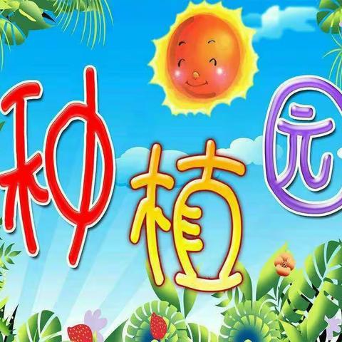 余江区第一幼儿园中二班——白萝卜种植分享